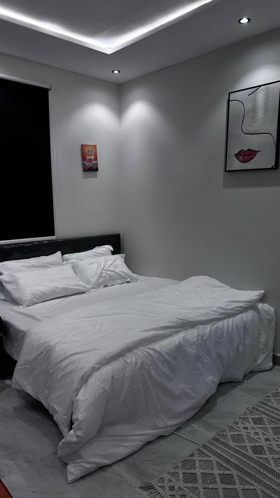 Apartment أستديو هادي بجوار البوليفارد غرفه *
